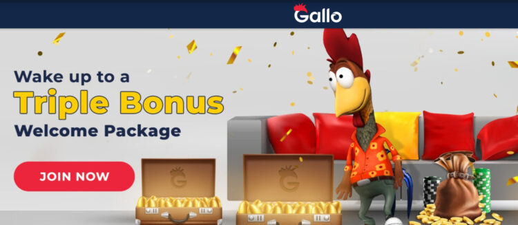 Gallo Casino