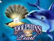 Dolphins pearl slot