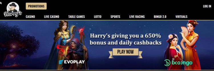 harry casino login