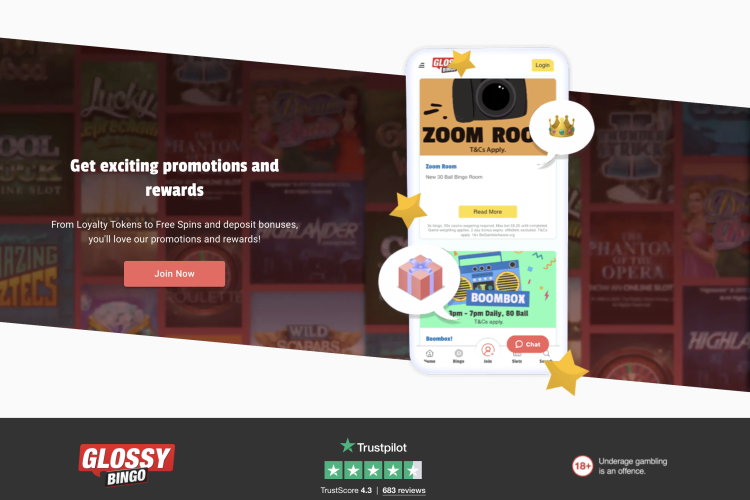 image of glossy bingo website