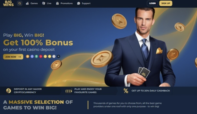 image of big wins casino website